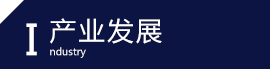 产业发展