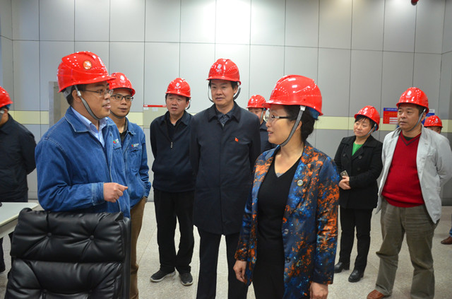 湘西自治州州长龙晓华到碗米坡电厂检查指导防汛工作.jpg