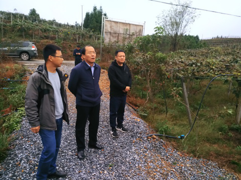 1109外网新闻信息更新8320.png